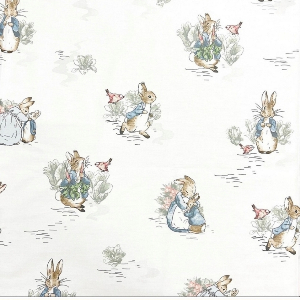 New Beatrix Potter PETER RABBIT Cottontail 2 Pillow Cases Easter bunny